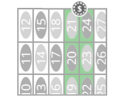 Line-Bet